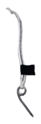White lanyard and pin SP